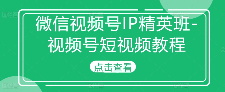 微信视频号IP精英班-视频号短视频教程-爱省资源网