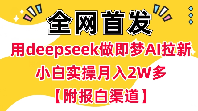 用deepseek做即梦Ai拉新 小白实操月入过W+【附报白渠道】-爱省资源网