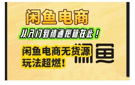 闲鱼电商实战课，从入门到精通秘籍在此，闲鱼电商无货源玩法超燃!-爱省资源网
