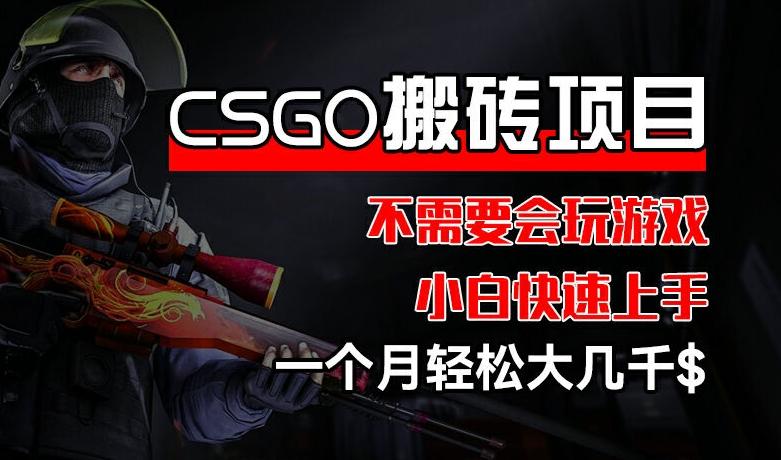 CSGO 装备搬砖项目，操作简单，不需要会玩游戏，小白也能快速上手，一个月轻松大几千【揭秘】-爱省资源网