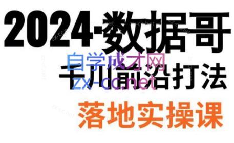数据哥·2024年千川前沿打法落地实操课-爱省资源网
