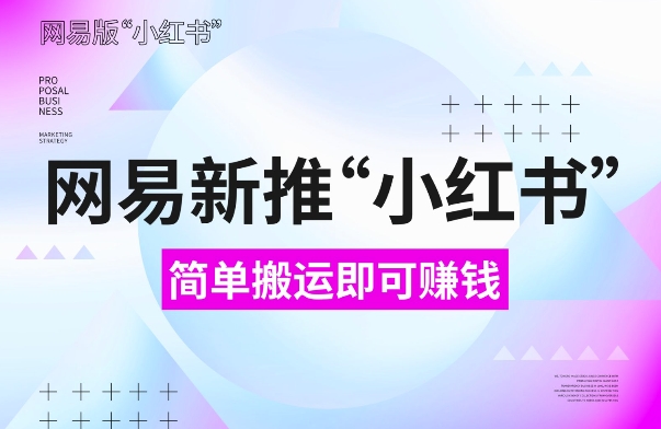 网易官方新推“小红书”，搬运即有收益，新手小白千万别错过(附详细教程)【揭秘】-爱省资源网