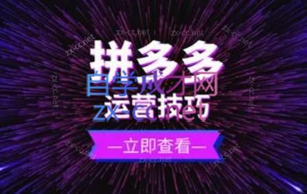 力辛电商·拼多多强付费店群玩法-爱省资源网