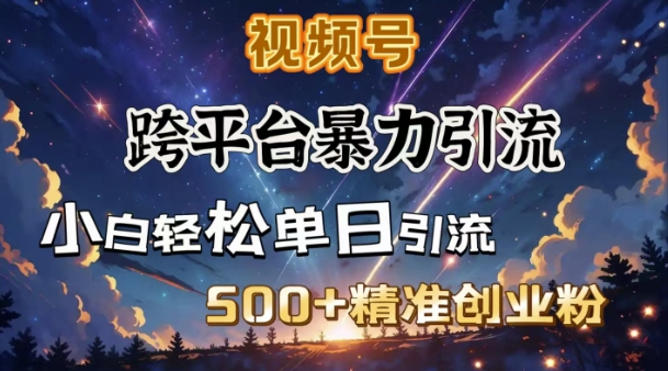 跨平台暴力引流，私域完美闭环，日引500+精准创业粉-爱省资源网