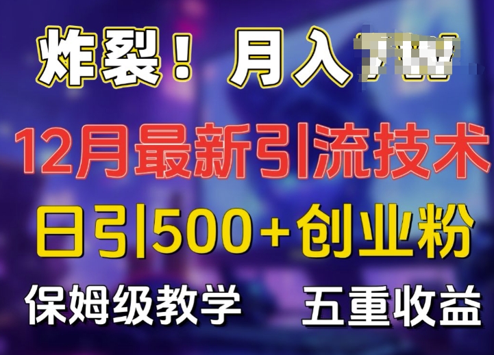 炸裂!揭秘12月最新日引流500+精准创业粉，多重收益保姆级教学-爱省资源网