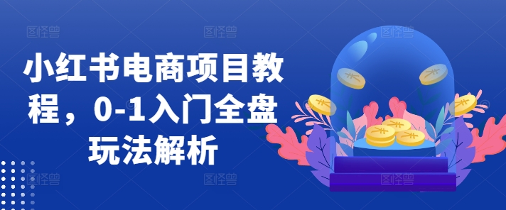 小红书电商项目教程，0-1入门全盘玩法解析-爱省资源网