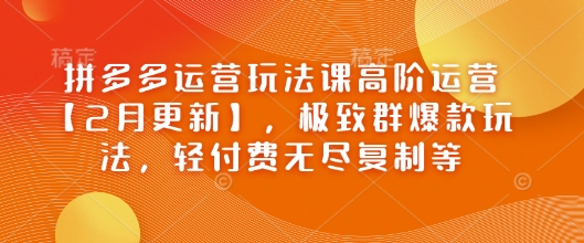 拼多多运营玩法课高阶运营【2月更新】，极致群爆款玩法，轻付费无尽复制等-爱省资源网