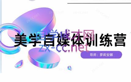 安娜·美学自媒体IP系统课-爱省资源网