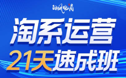 淘系运营21天速成班(更新9月)-爱省资源网