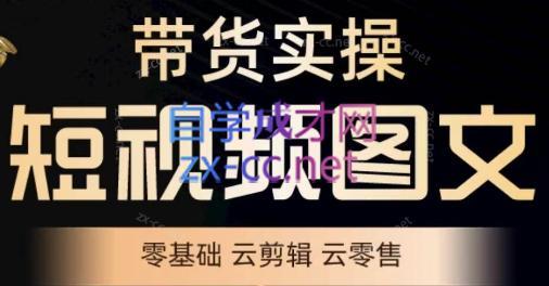 鑫哥·2024零基础短视频带货实操营-爱省资源网