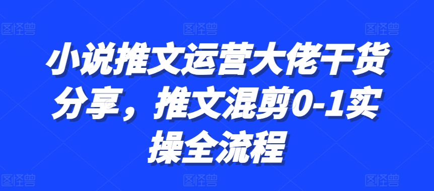 小说推文运营大佬干货分享，推文混剪0-1实操全流程-爱省资源网