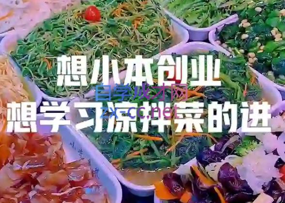 李记·精品凉拌菜系列热卤系列教程-爱省资源网