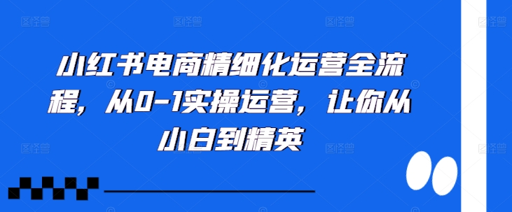 小红书电商精细化运营全流程，从0-1实操运营，让你从小白到精英-爱省资源网