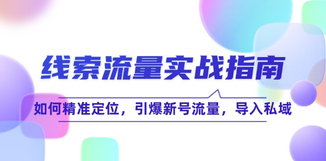 线 索 流 量-实战指南：如何精准定位，引爆新号流量，导入私域-爱省资源网