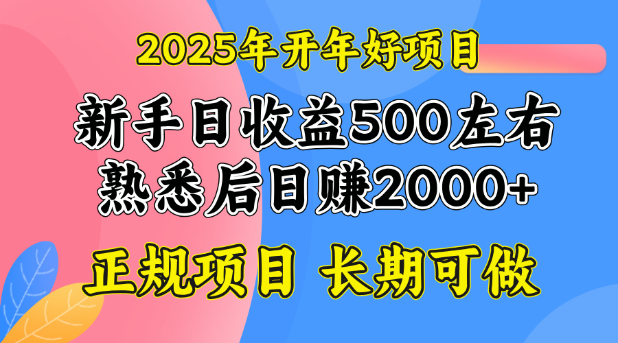 2025开年好项目，单号日收益2000左右-爱省资源网