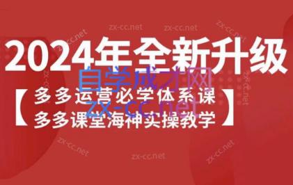 海神老师·拼多多运营必学体系课-爱省资源网