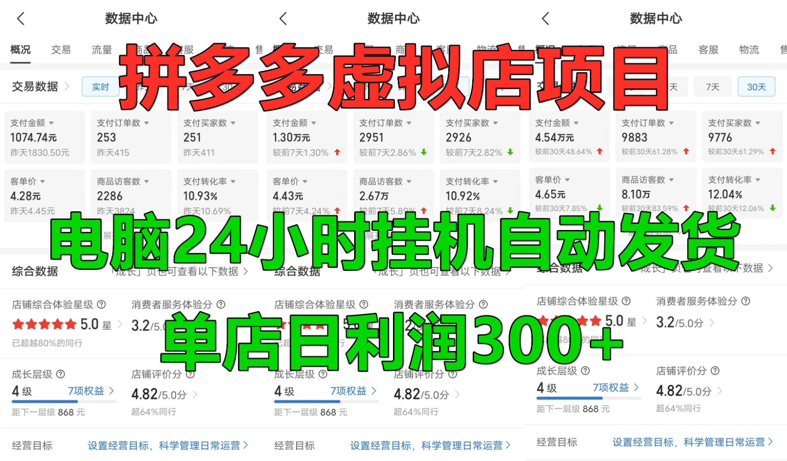 拼多多虚拟店铺项目，电脑挂机自动发货，单店日利润300+-爱省资源网