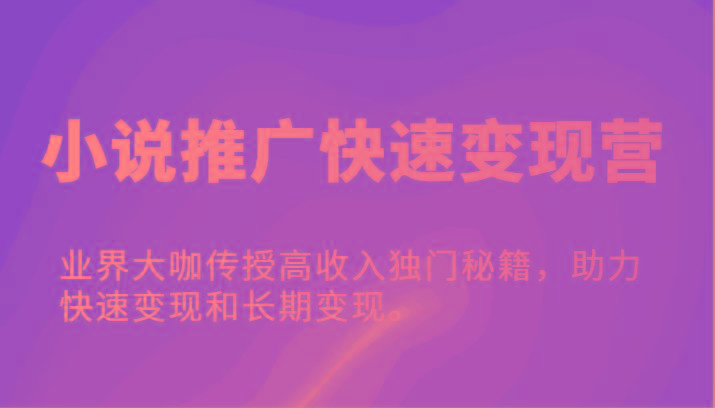 小说推广快速变现营-业界大咖传授高收入独门秘籍，助力快速变现和长期变现。-爱省资源网