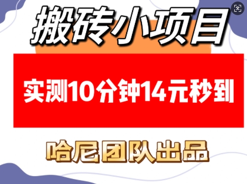 搬砖小项目，实测10分钟14元秒到，每天稳定几张(赠送必看稳定)-爱省资源网
