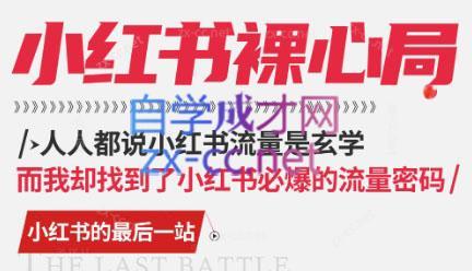 月月老师·小红书低粉高变现课-爱省资源网