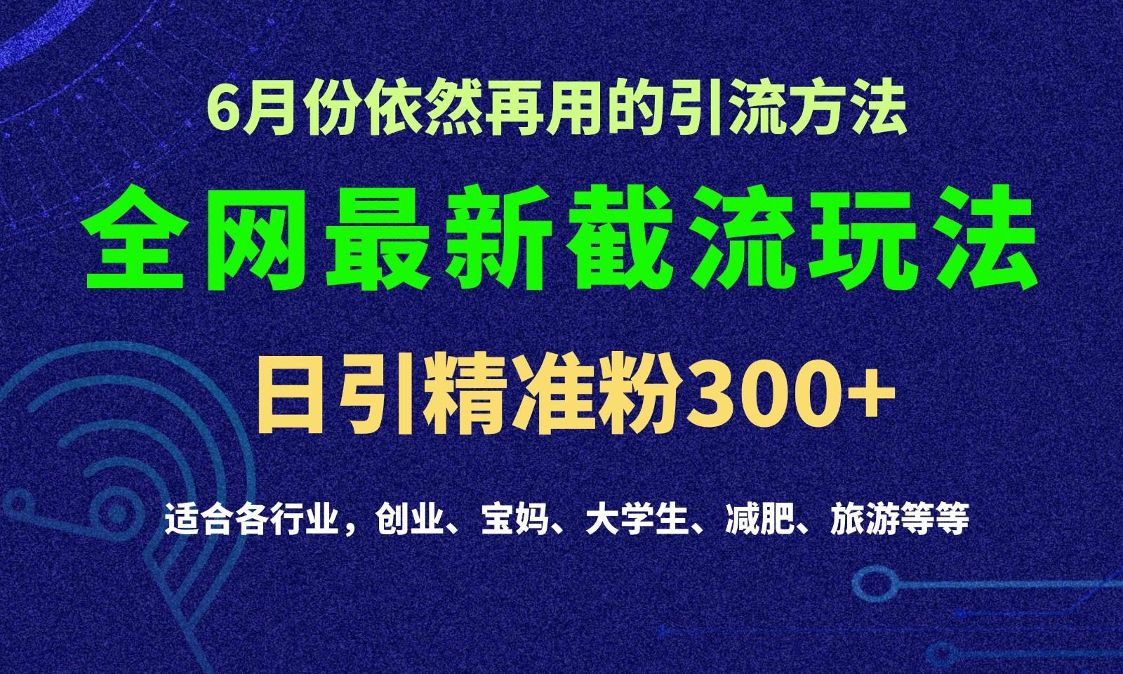2024全网最新截留玩法，每日引流突破300+-爱省资源网