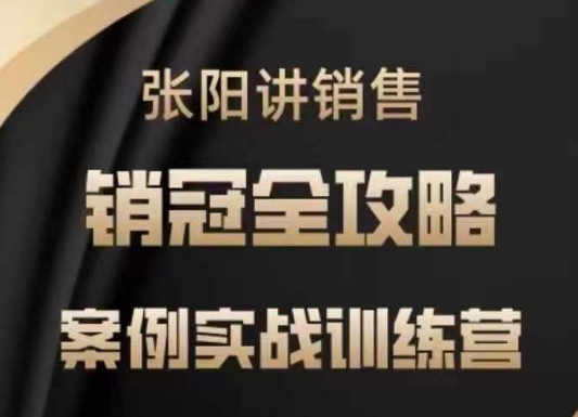 张阳讲销售实战训练营，​案例实战训练，销冠全攻略-爱省资源网
