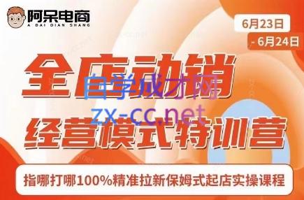 阿呆电商·全店动销经营模式特训营(线下录音+思维导图)-爱省资源网