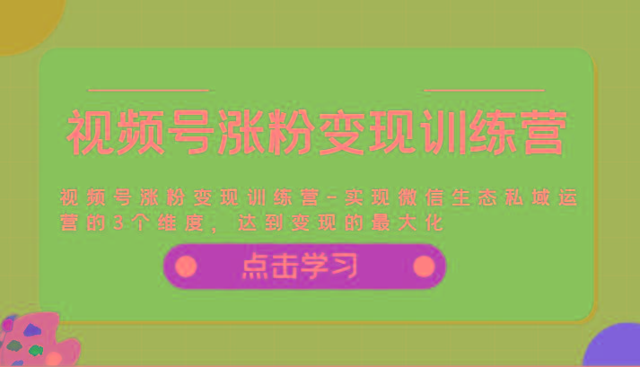 视频号涨粉变现训练营-实现微信生态私域运营的3个维度，达到变现的最大化-爱省资源网