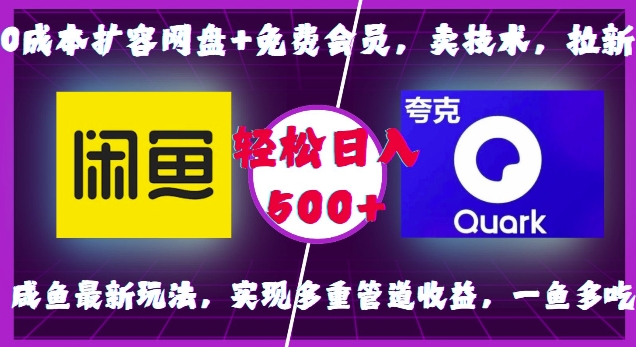 0成本扩容网盘+免费会员，卖技术，拉新，咸鱼最新玩法，实现多重管道收益，一鱼多吃，轻松日入500+-爱省资源网