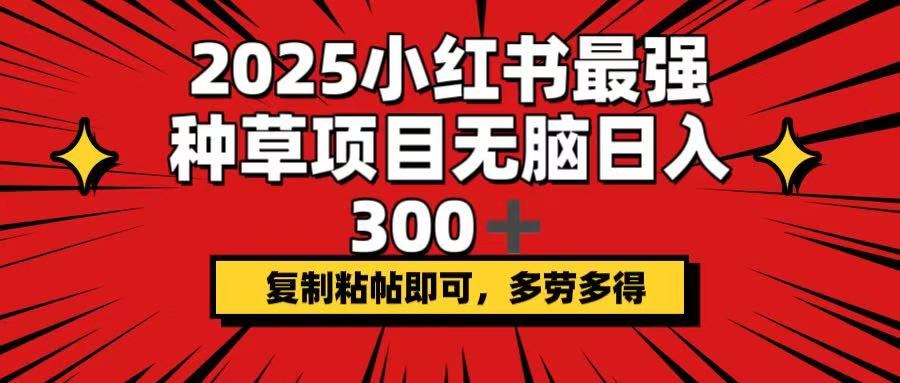 2025小红书最强种草项目，无脑日入300+，复制粘帖即可，多劳多得-爱省资源网