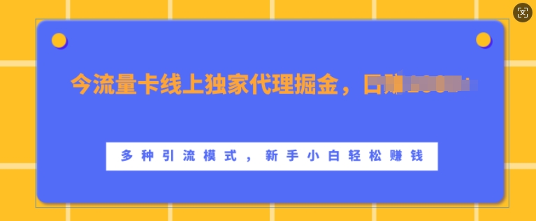 流量卡线上独家代理掘金，日入1k+ ，多种引流模式，新手小白轻松上手【揭秘】-爱省资源网