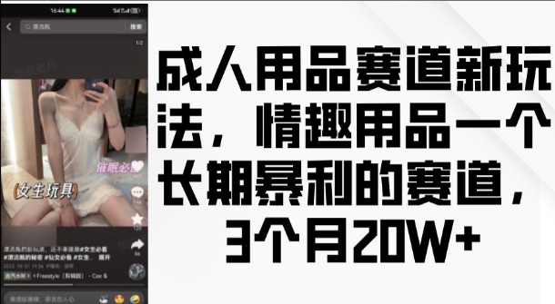 成人用品赛道新玩法，情趣用品一个长期暴利的赛道，3个月收益20个【揭秘】-爱省资源网