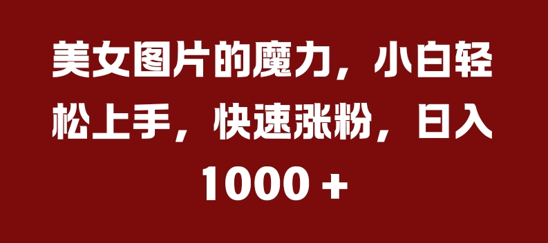 美女图片的魔力，小白轻松上手，快速涨粉，日入几张【揭秘】-爱省资源网