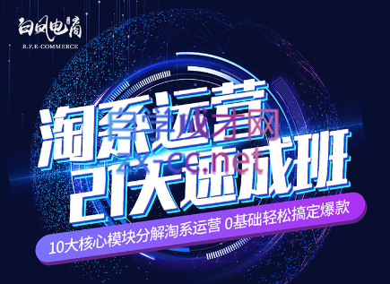 淘系运营21天速成班(更新24年5月)-爱省资源网