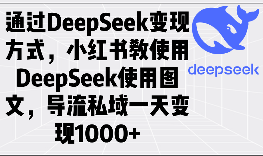 通过DeepSeek变现方式，小红书教使用DeepSeek图文，导流私域一天变现1000+-爱省资源网