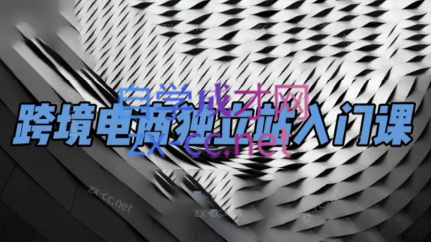 团长·跨境电商独立站入门课(2小时精华)-爱省资源网