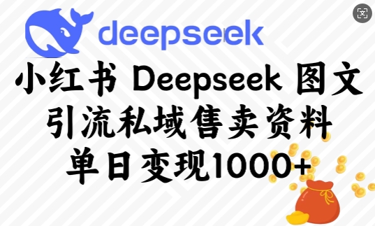 小红书Deepseek图文引流私域售卖资料，单日变现多张-爱省资源网