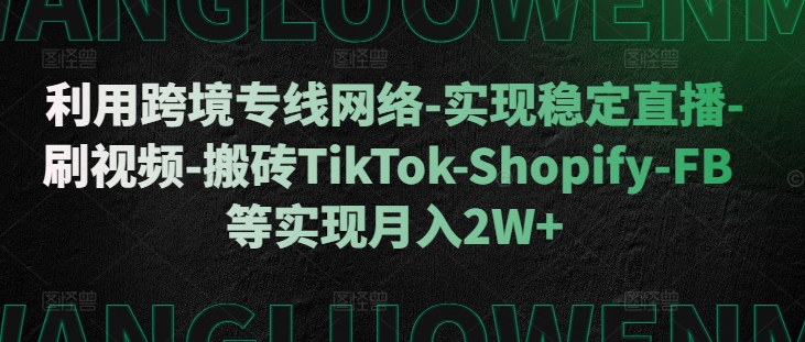 利用跨境专线网络-实现稳定直播-刷视频-搬砖TikTok-Shopify-FB等实现月入2W+【揭秘】-爱省资源网