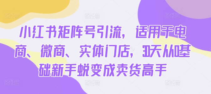 小红书矩阵号引流，适用于电商、微商、实体门店，30天从0基础新手蜕变成卖货高手-爱省资源网