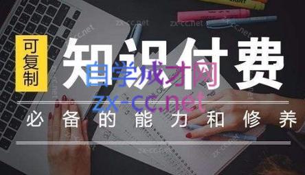 君哥·IP合伙人知识付费虚拟项目(更新24年6月)-爱省资源网