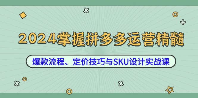 2024掌握拼多多运营精髓：爆款流程、定价技巧与SKU设计实战课-爱省资源网