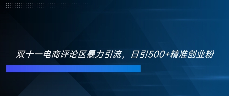 双十一电商评论区暴力引流，日引500+精准创业粉【揭秘】-爱省资源网
