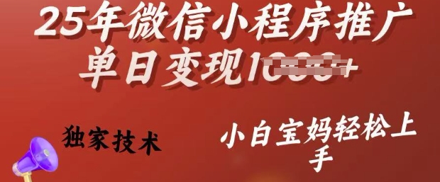 25年微信小程序推广单日变现多张，独家技术，小白宝妈轻松上手【揭秘】-爱省资源网
