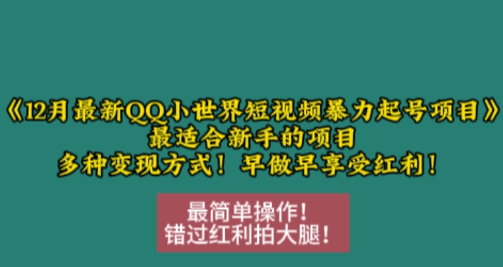 12月最新QQ小世界短视频暴力起号项目，最适合新手的项目，多种变现方式-爱省资源网