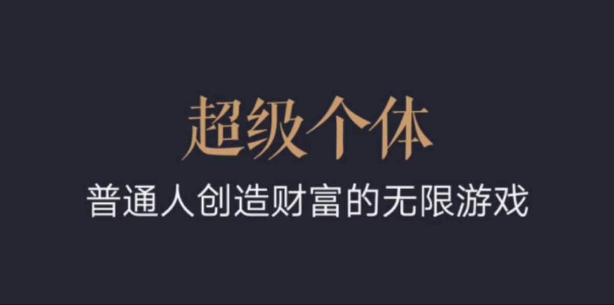 超级个体：2024-2025翻盘指南，普通人创造财富的无限游戏-爱省资源网
