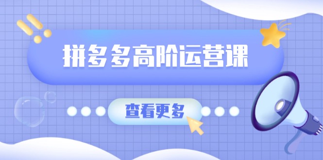 拼多多高阶运营课：极致群爆款玩法，轻付费无尽复制，打造单品爆款之路-爱省资源网