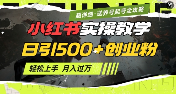 2月小红书最新日引500+创业粉实操教学【超详细】小白轻松上手，月入1W+，附小红书养号起号SOP-爱省资源网